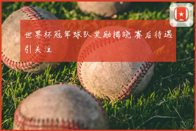 世界杯冠军球队奖励揭晓 赛后待遇引关注