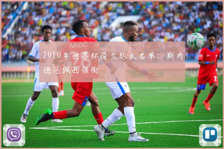 2010年世界杯荷兰队大名单:斯内德范佩西领衔