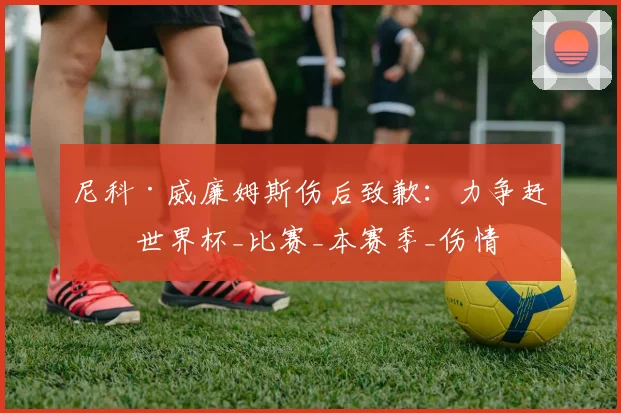 尼科·威廉姆斯伤后致歉：力争赶上世界杯_比赛_本赛季_伤情