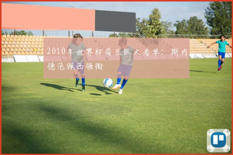 2010年世界杯荷兰队大名单:斯内德范佩西领衔