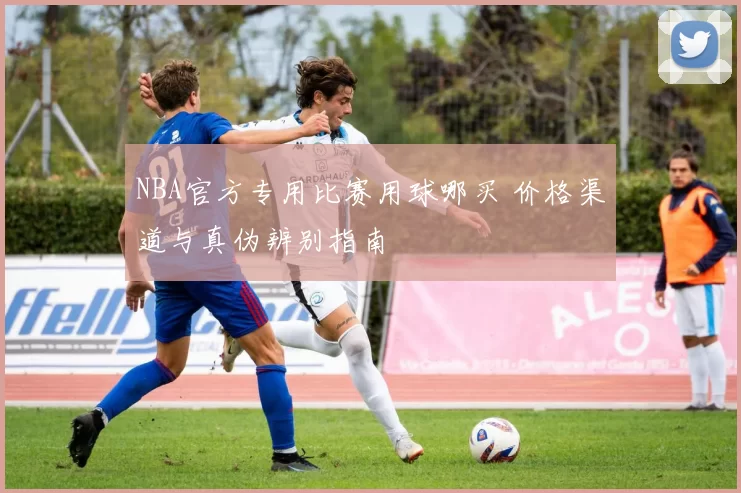 NBA官方专用比赛用球哪买 价格渠道与真伪辨别指南