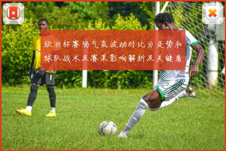 欧洲杯赛场气氛波动对比分走势和球队战术及赛果影响解析及关键看点