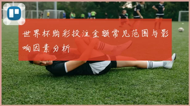 世界杯购彩投注金额常见范围与影响因素分析
